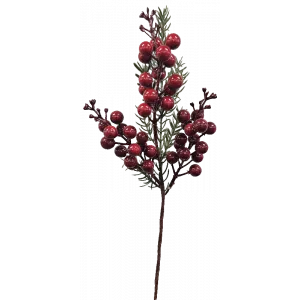 Berry Pick