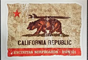 Surf Bear