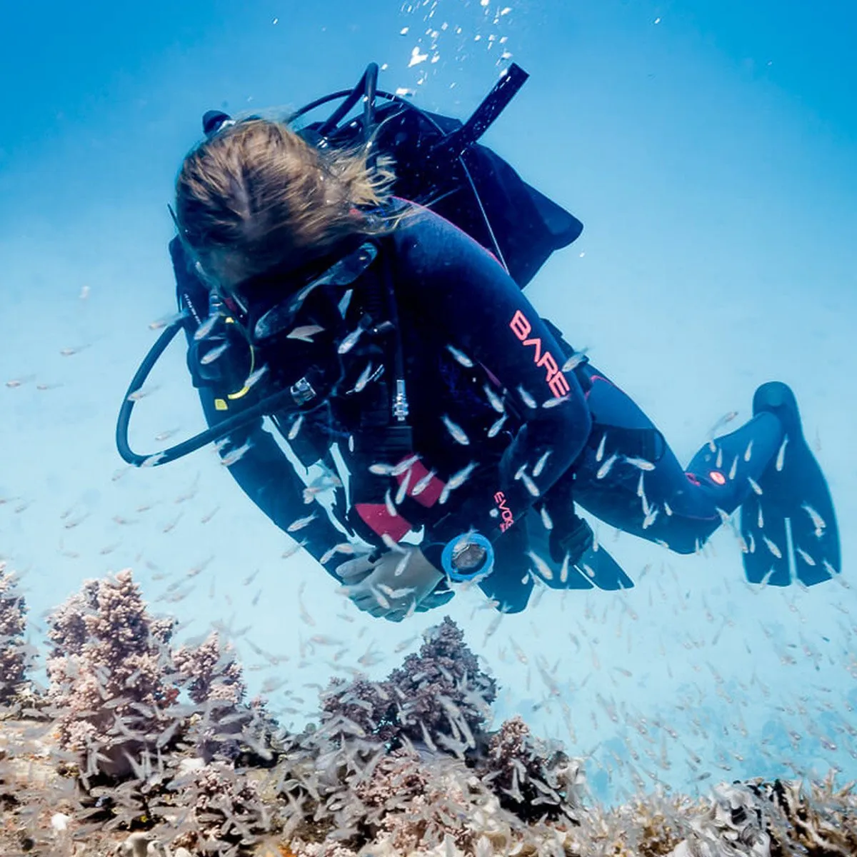 Suunto Zoop Novo Dive Computer
